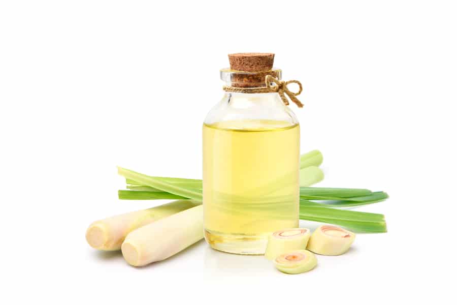 Citronella Essential Oil With Fresh Lemongrass Isolated On White Background.