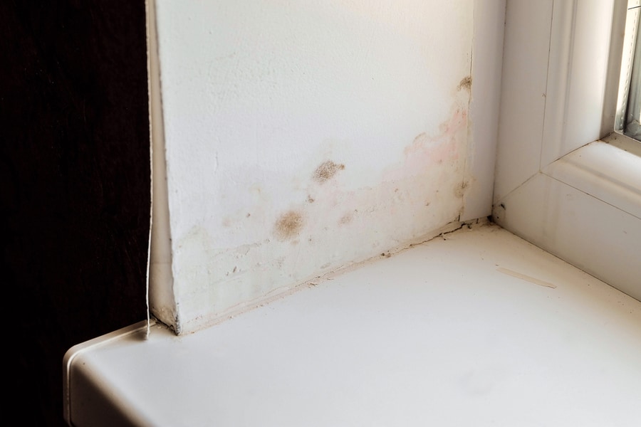 Clean Up Damp Spots