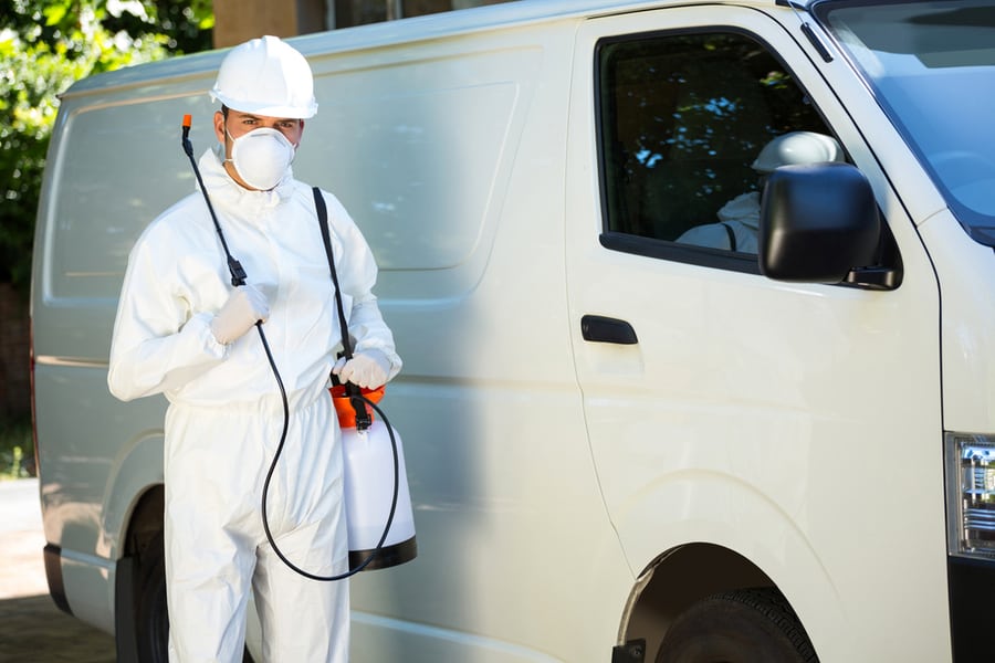Consider Professional Pest Control Services
