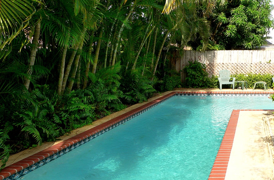 Cut Branches That Hang Directly Over Your Pool