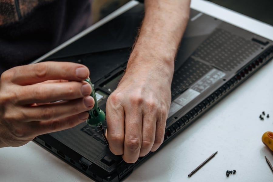 Damages That Roaches Can Cause To Your Laptop