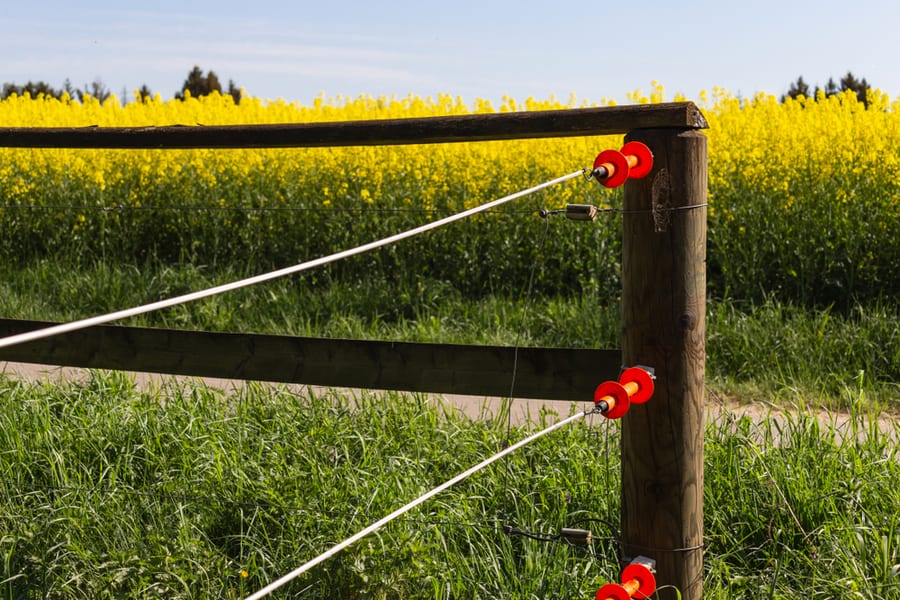 Electric Fencing