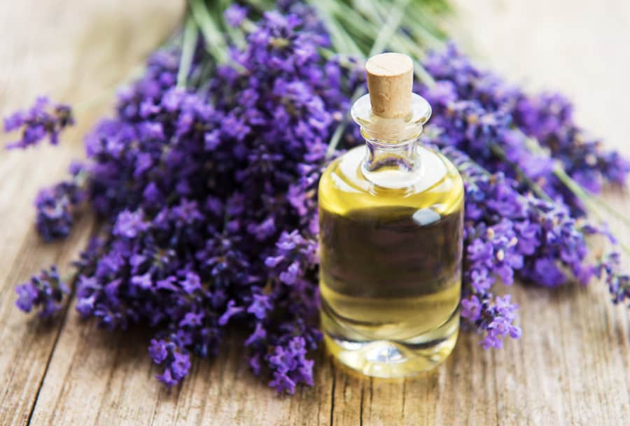 Essential Oil With Fresh Lavender