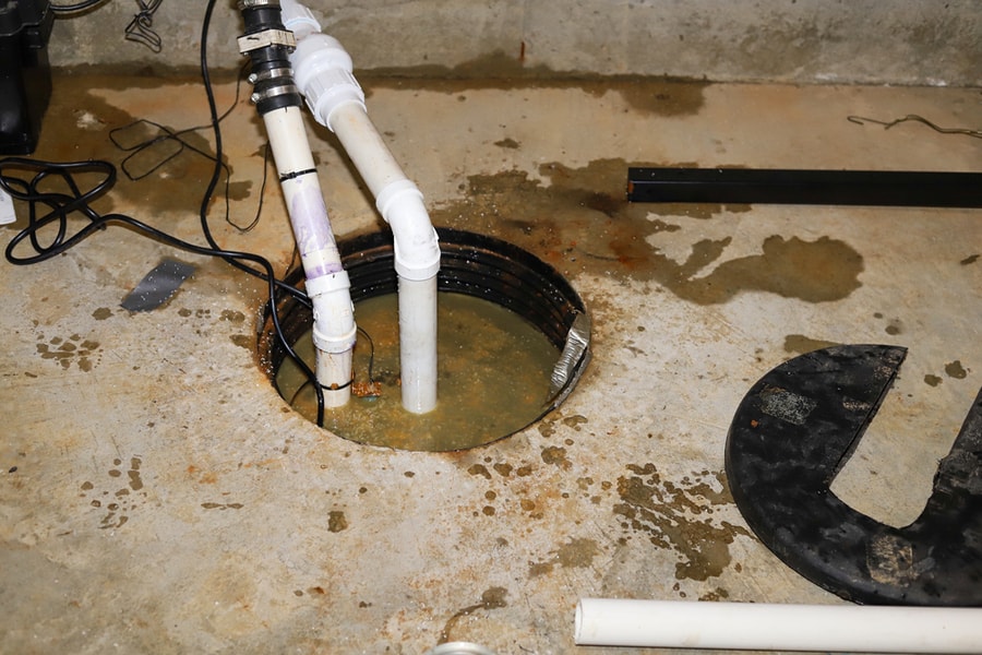 Factors That Attract Bugs In A Sump Pump
