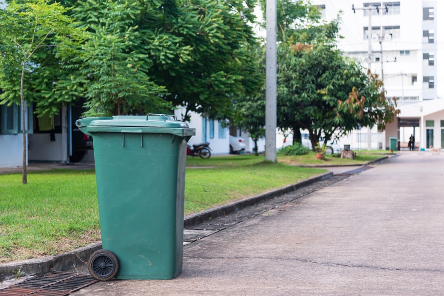 Garbage Can Clean