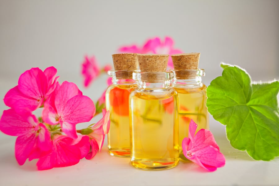 Geranium Oil