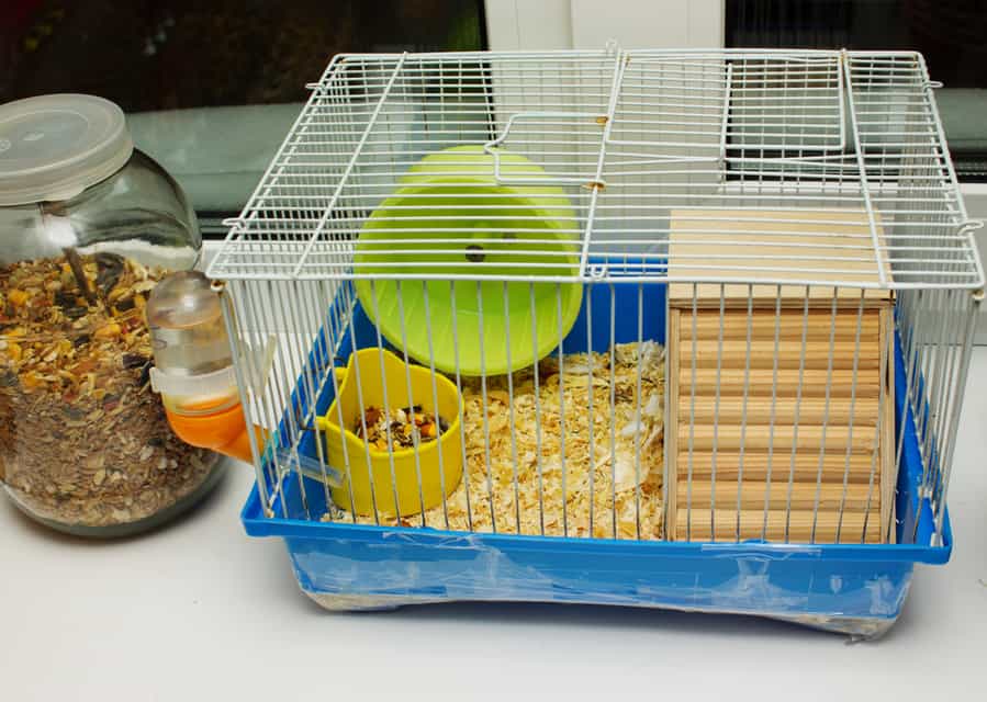 Hamster Cage