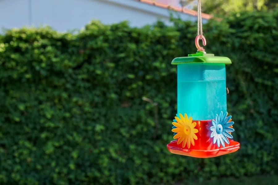 Hanging A Brightly Colored Feeder Outside