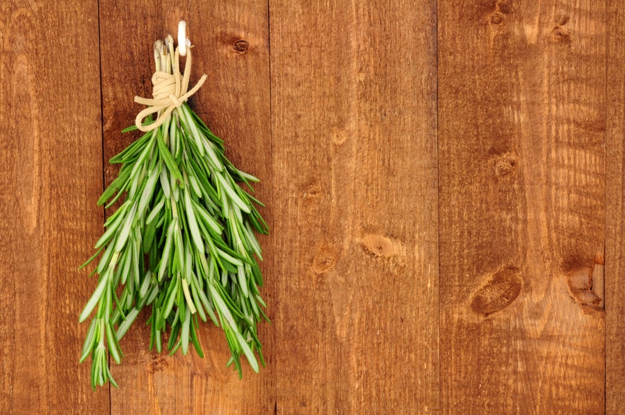 Hanging Rosemary Stems