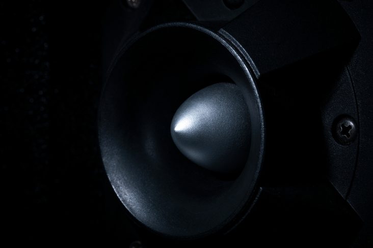 What Are Woodpeckers Afraid Of? | BeatPests