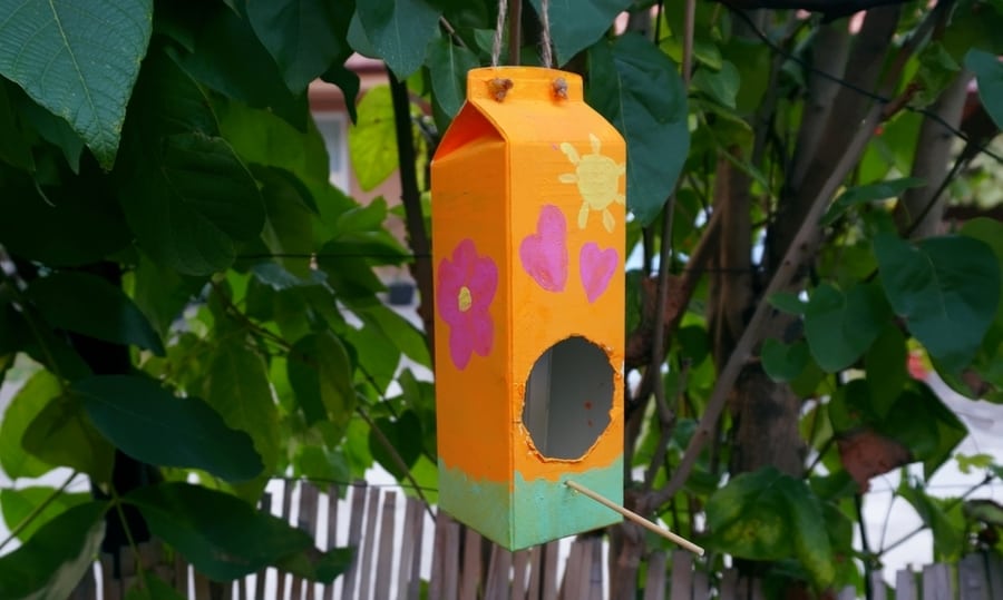 Homemade Bird Feeder In A Tree