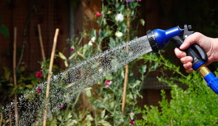 Hosepipe Being Used Water Garden