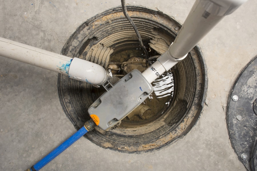 How Bugs Gain Access To The Sump Pump