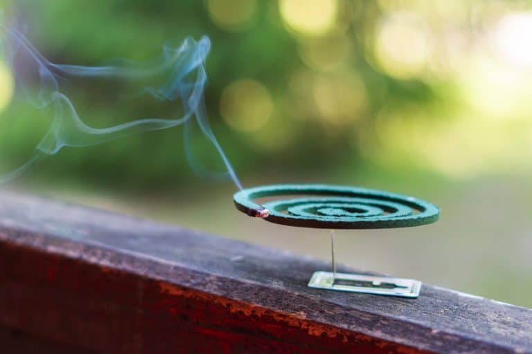 What Incense Repels Flies? BeatPests