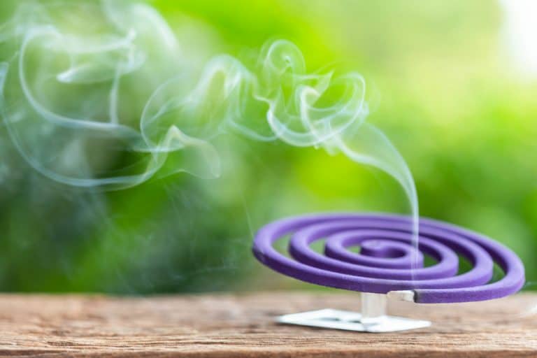 What Incense Repels Flies? BeatPests