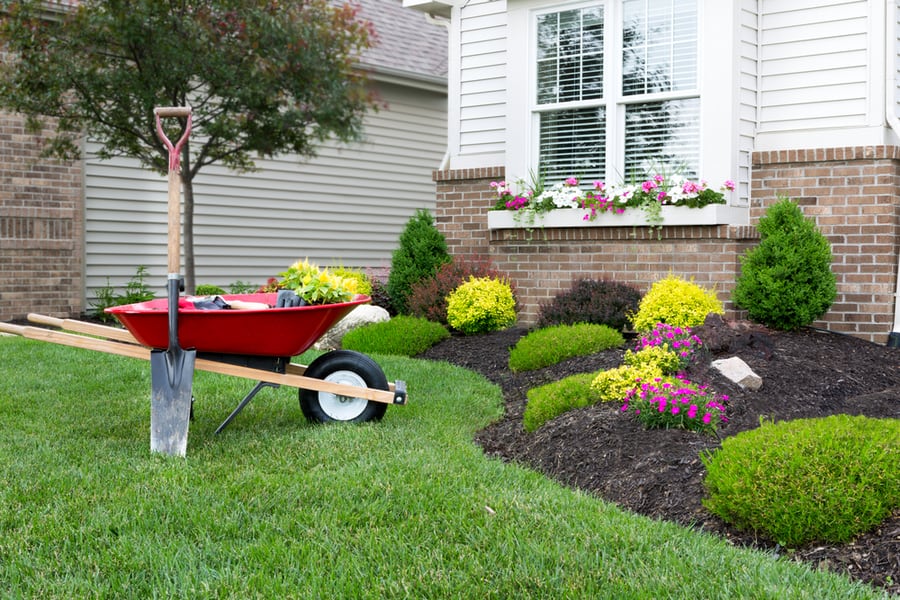 Inspect Gardens Or Farms Around The House