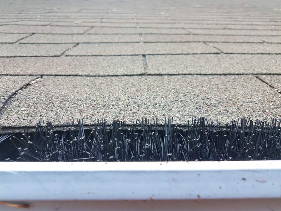 Install Gutter Brushes Or Spikes