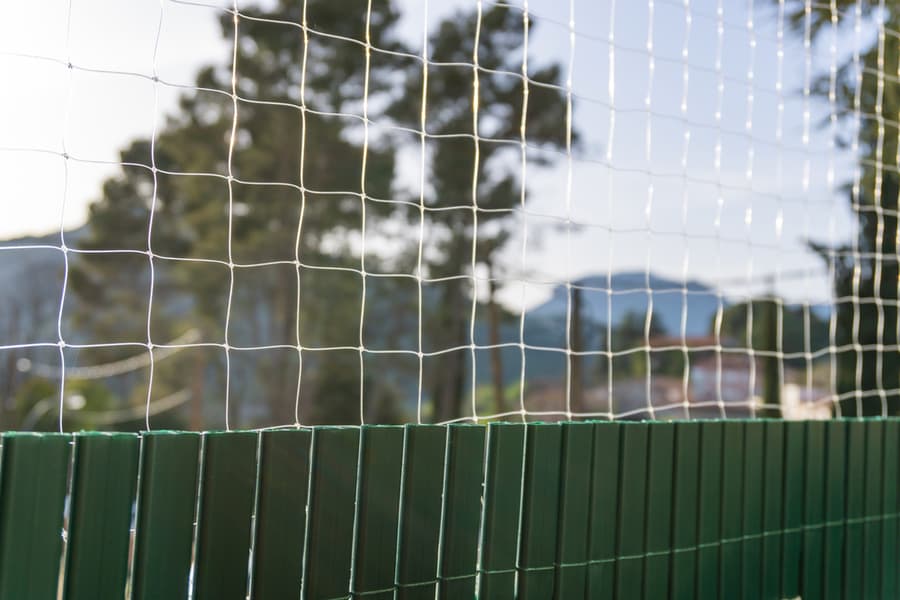 Invisible Fences Invisible Fences