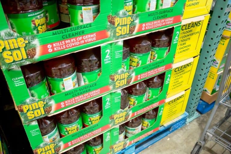 5 Bugs That PineSol Repels BeatPests