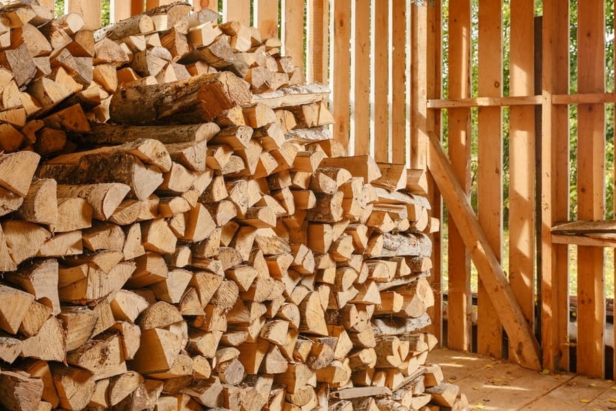 Keep The Area Around The Wood Pile Clean