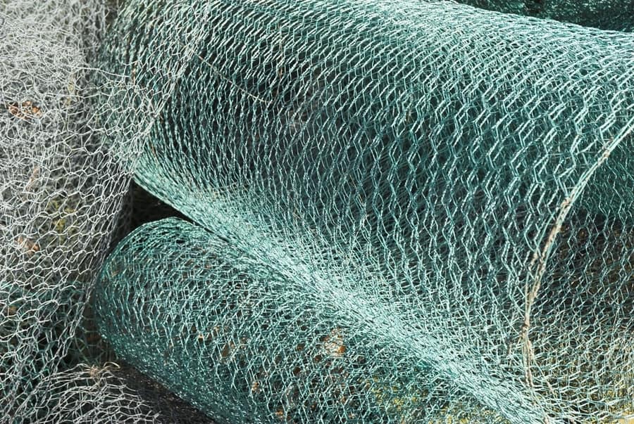 Lay Chicken Wire