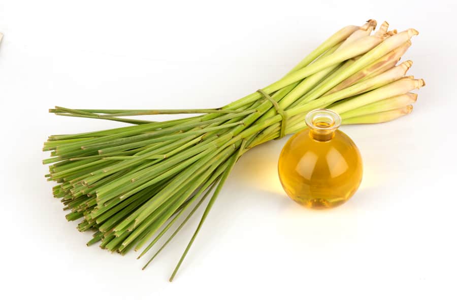 Lemongrass Oil On White Background.