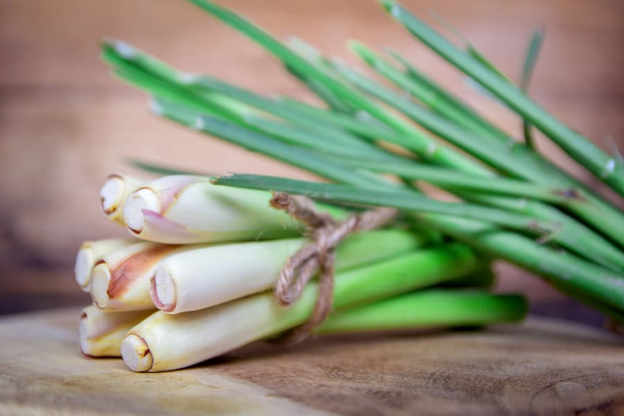 Lemongrass Snake Repellent