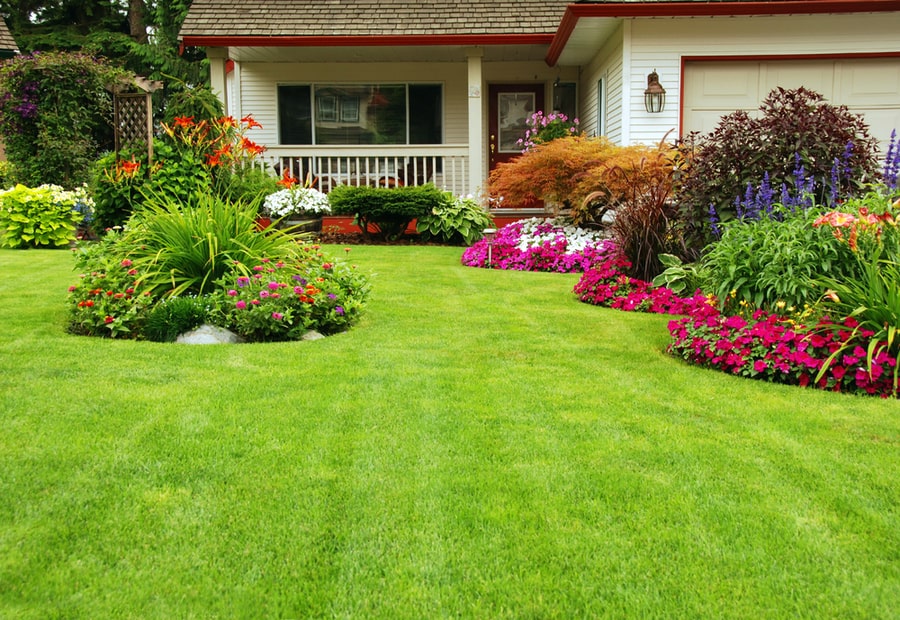 Maintain Your Lawn