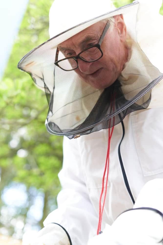 Man Wearing Bee Veil