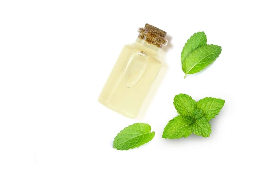 Mint Oil In Glass Bottle And Fresh Peppermint Leaf Isolated On White Background.
