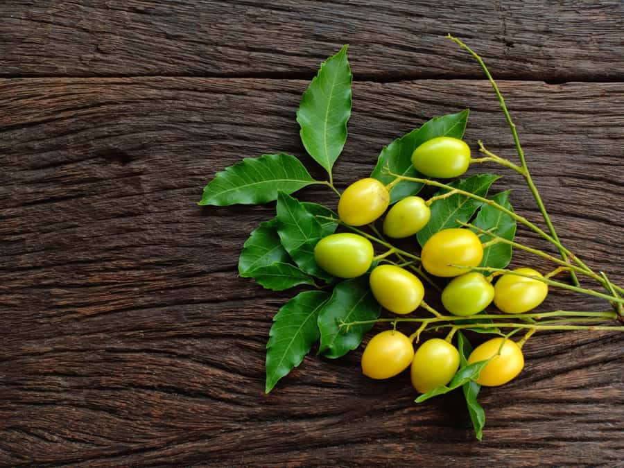 Neem Green Leaf And Neem Fruit On Wooden Table