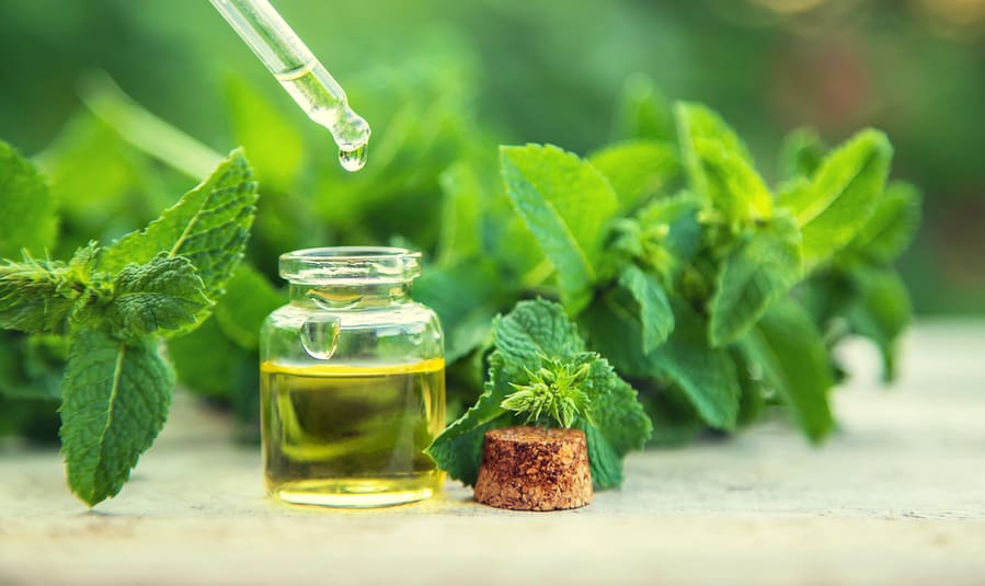 Peppermint Leaves And A Bottle Of Peppermint Oil