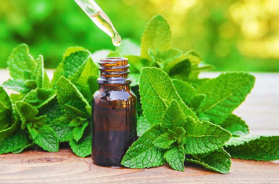 Peppermint Oil In A Small Jar