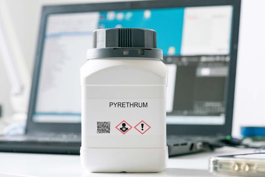 Pyrethrum Powder