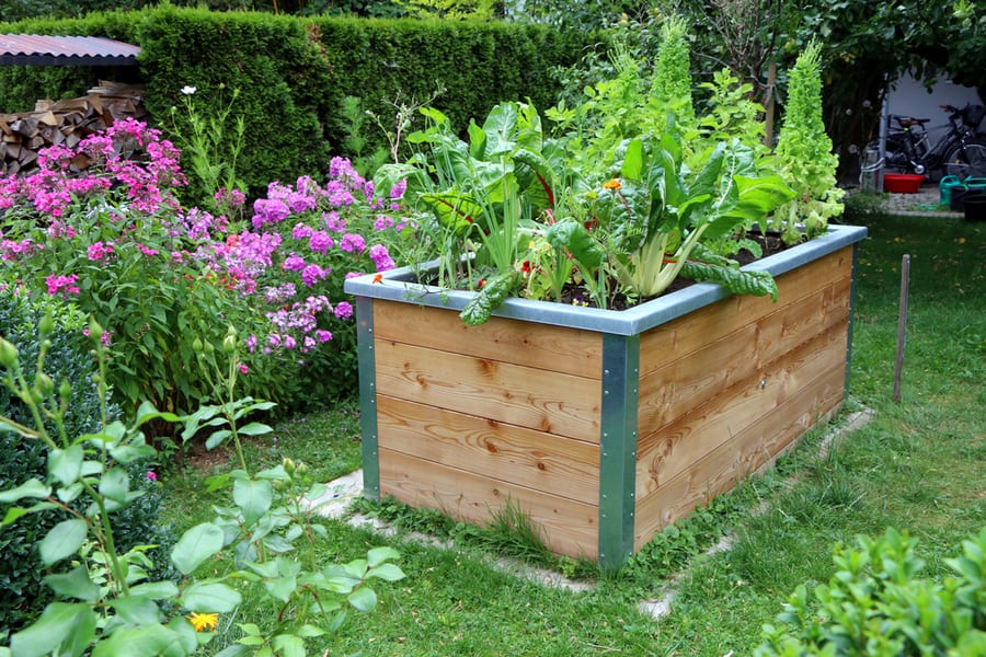 Raised Garden Bed