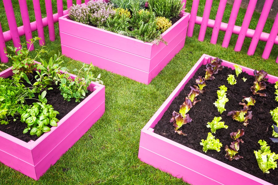 Raised Garden Beds With Fences Around