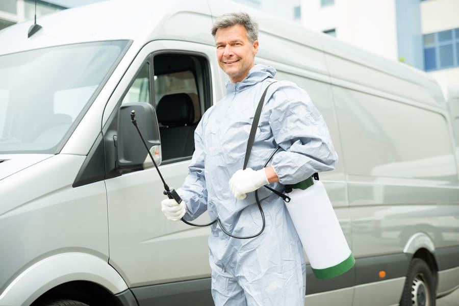 Reasons Why You Should Hire Exterminators