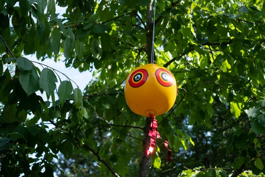 Scare-Eye Balloon Or Bird Scare Ball.
