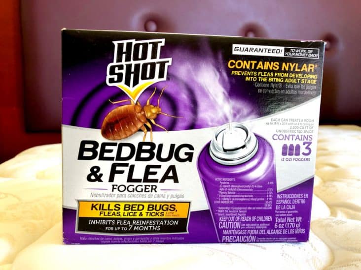 How To Flea Bomb a House | BeatPests