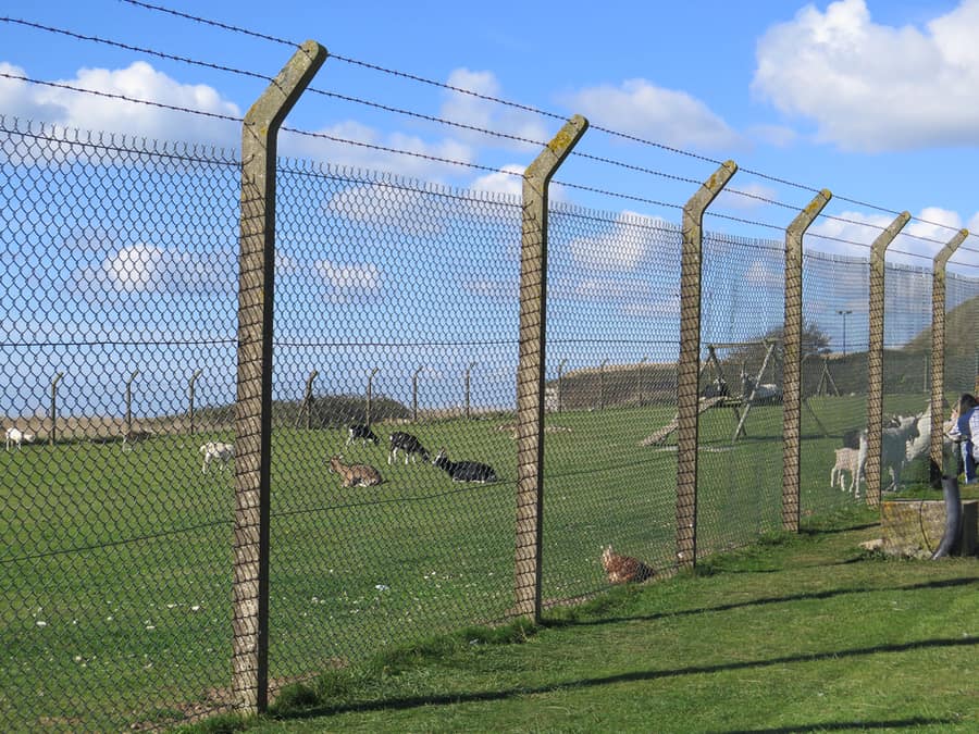 Tall Fencing