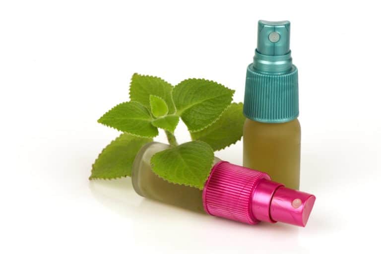 What Bugs Does Oregano Repel? BeatPests