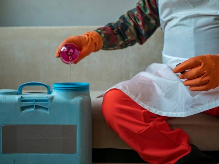 What To Do After Exterminator Sprays for Bed Bugs BeatPests