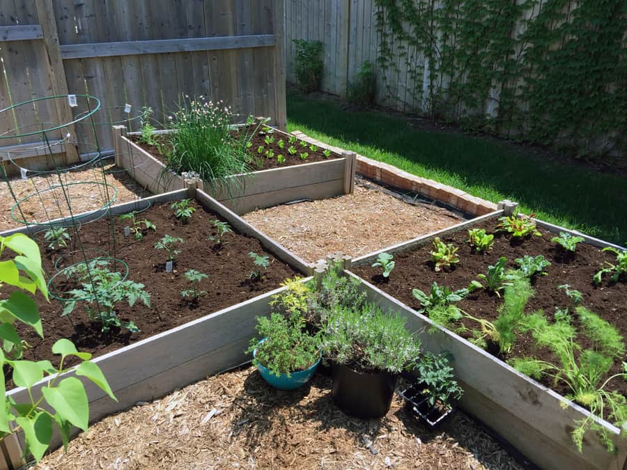 This Small Urban Backyard Garden Contains Square Raised Planting Beds For Growing Vegetables And Herbs Throughout The Summer.