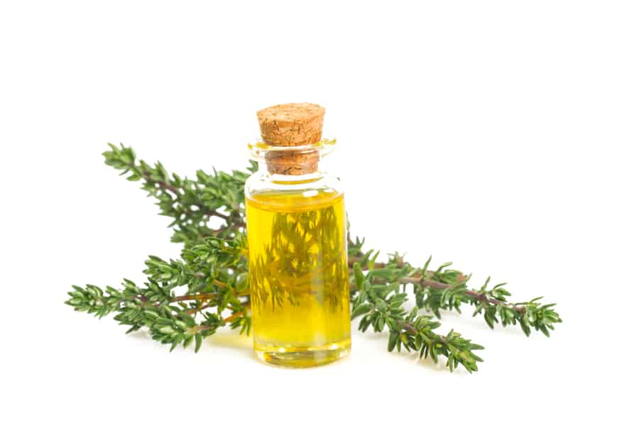 Thyme Oil Isolated On White Background.