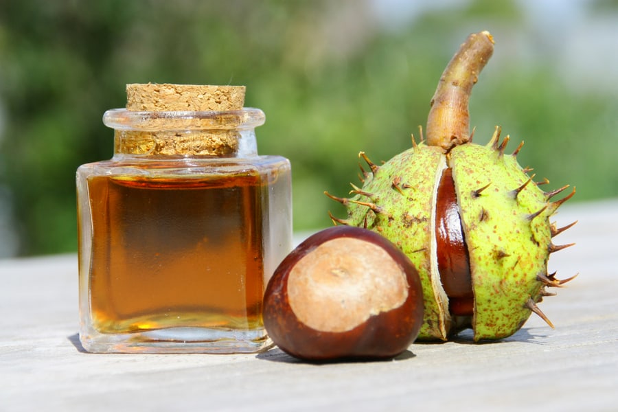 Use Chestnut Oil