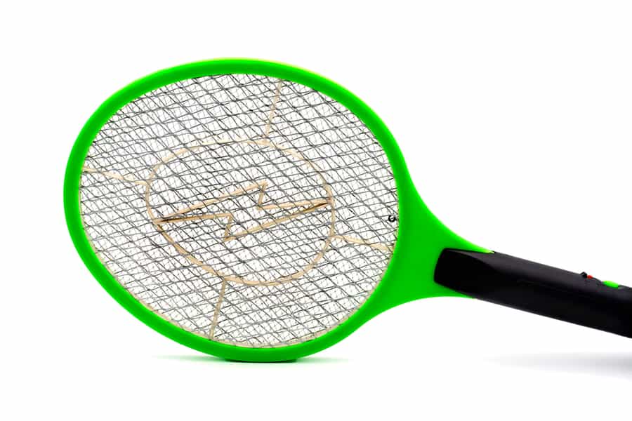 Use Electric Fly Swatters