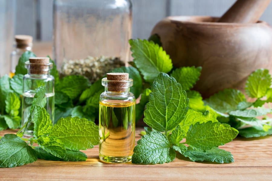 Use Lemon Balm