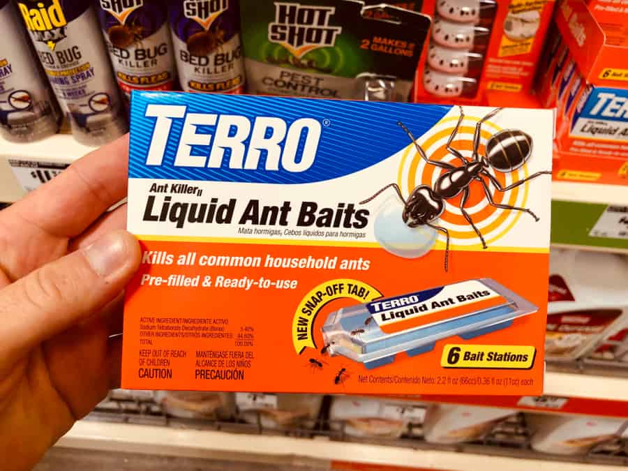 Use Liquid Ant Baits
