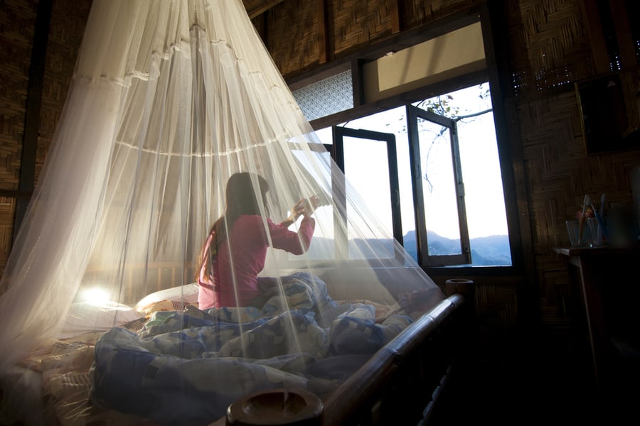 Use Mosquito Nets While Sleeping Use Mosquito Nets While Sleeping