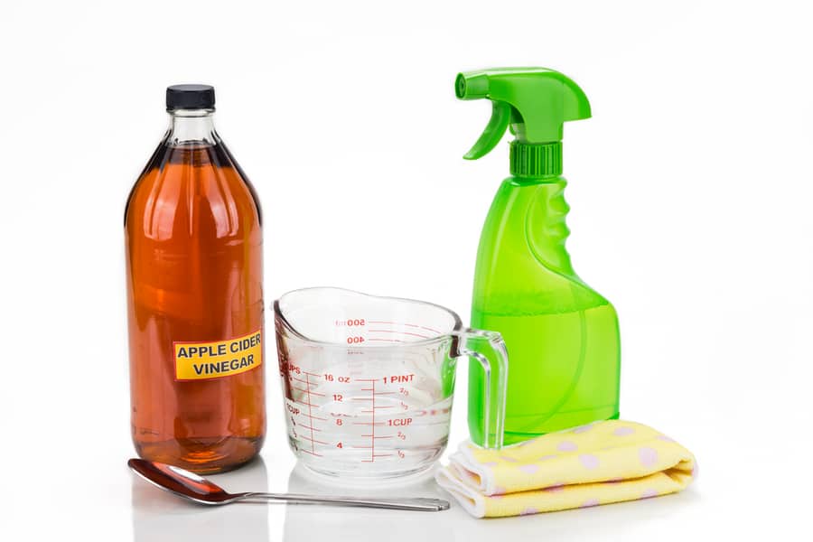 Use Pesticide Or Home Deterrent Remedy (Apple Cider Vinegar)